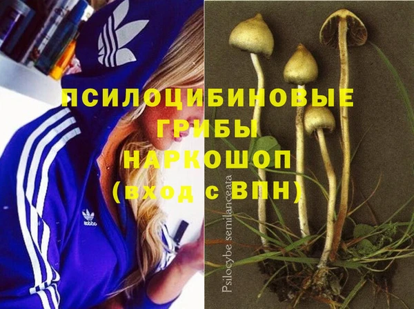 мдпв Алзамай