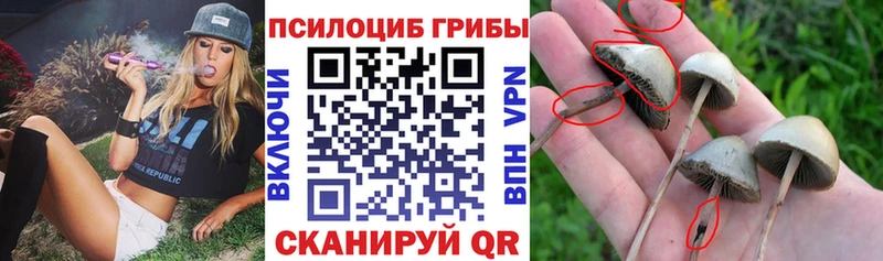 shop состав  Глазов  Галлюциногенные грибы мухоморы 